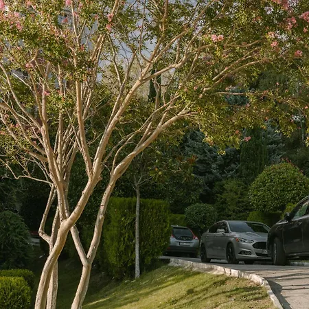 公寓 Rich Collective 内塞伯尔