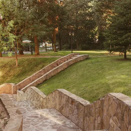 Rich Collective * 内塞伯尔