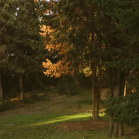 Rich Collective 公寓