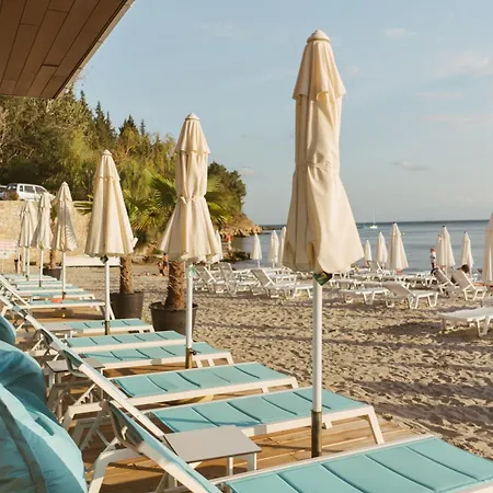 Rich Collective * 内塞伯尔