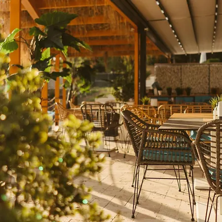 公寓 Rich Collective 内塞伯尔