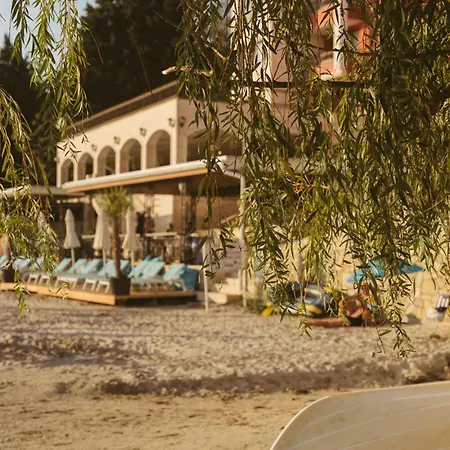 Rich Collective 内塞伯尔