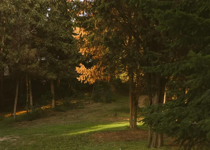 Rich Collective Apartament