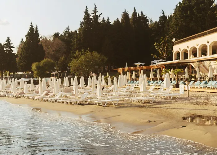 Rich Collective Nesebyr