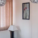Rich Collective Apartment *