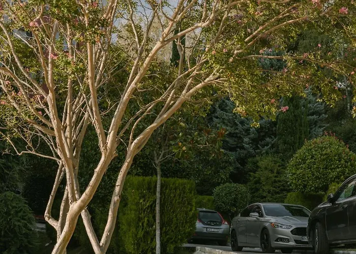 Apartment Rich Collective Nessebar