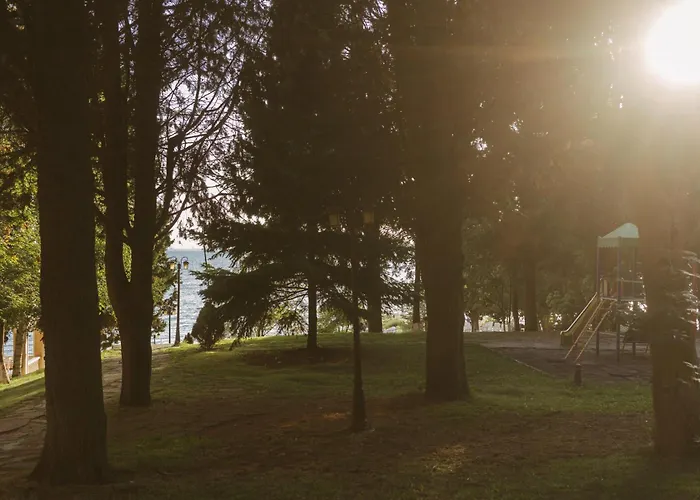 Rich Collective Apartment *